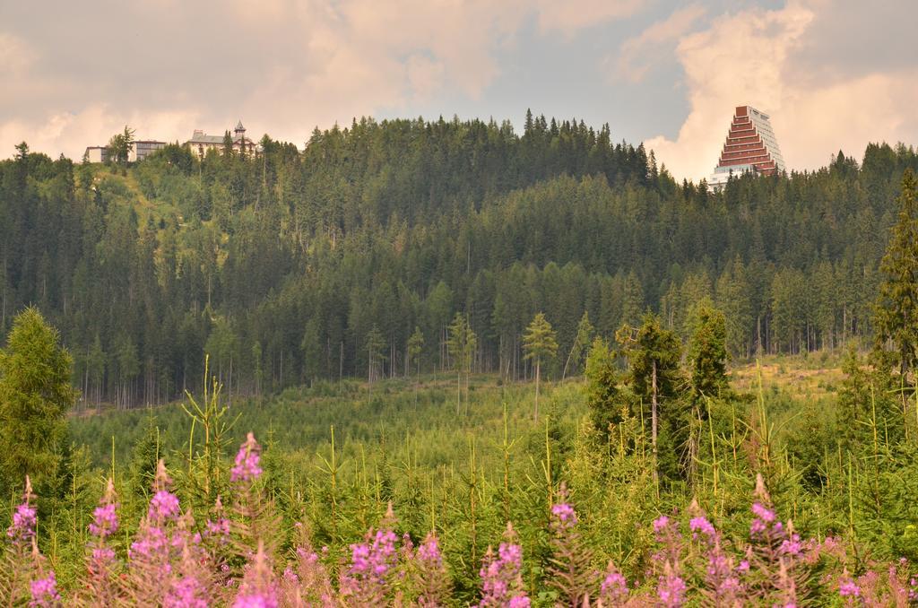 Apartman Panorama 213, Studio Comfort Strbske Pleso Room photo