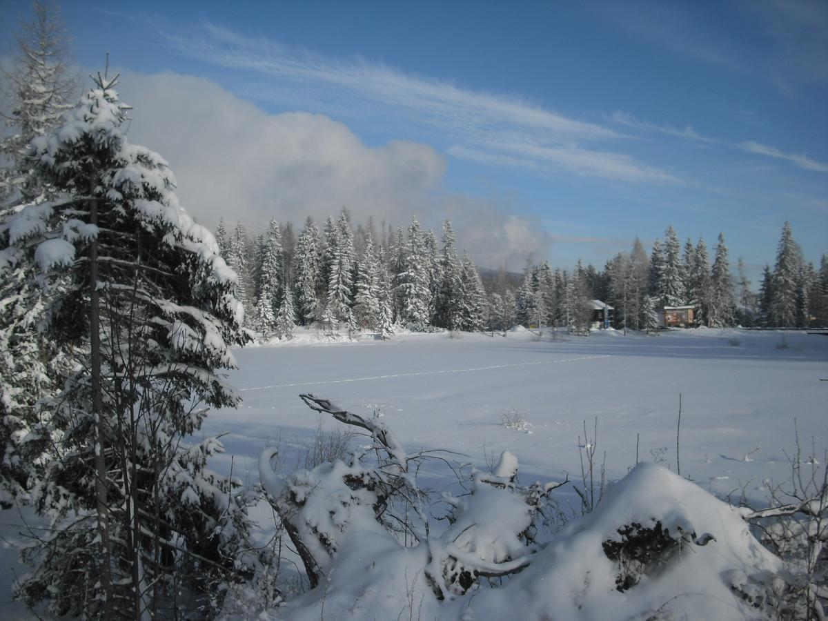 Apartman Panorama 213, Studio Comfort Strbske Pleso Exterior photo